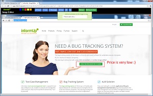 Bug Tracking System - Built-in Image Editor Tool